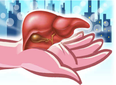 Liver Evaluation